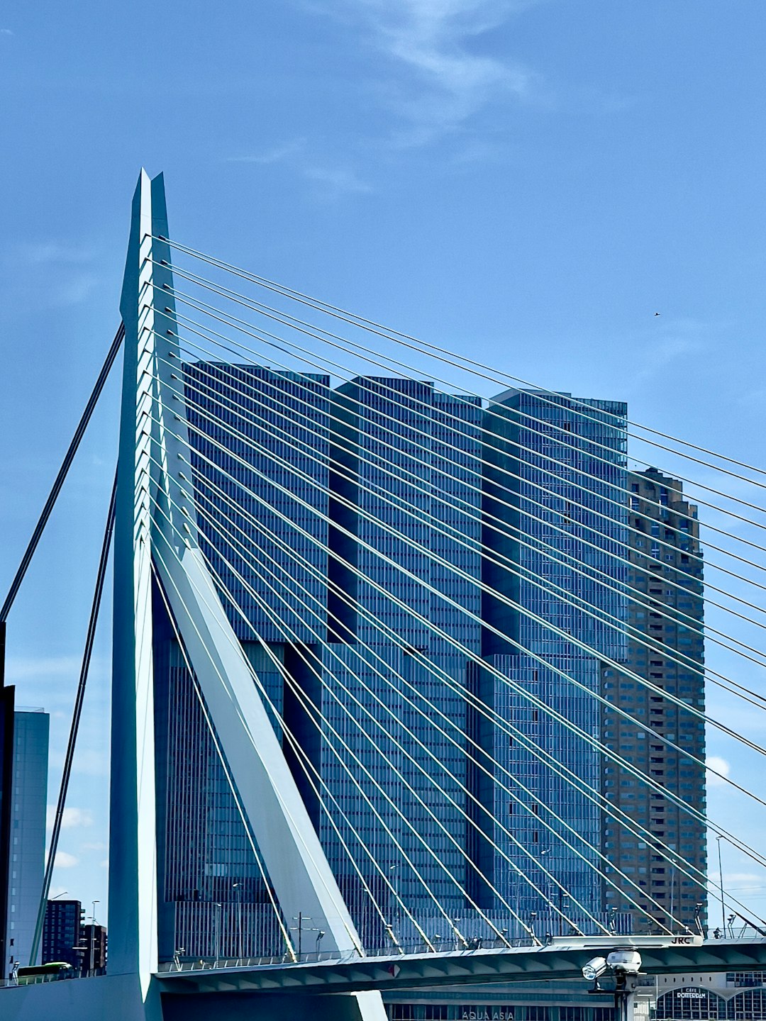 Biocomposite bridge construction