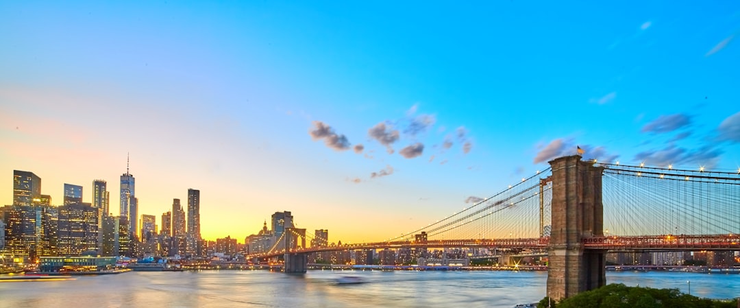 Rotterdam Harbor Bridge